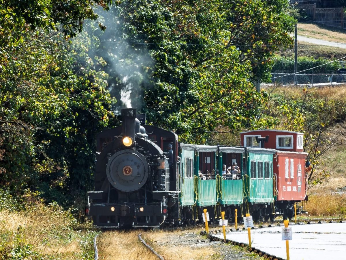 Steam train with green carriages on a rural track surrounded by trees.